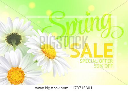 Springr sale concept. Summer background with chamomile and fresh green background. Template for banners, web, flyer, voucher. Vector illustration.