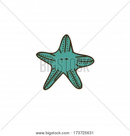 colorful starfish icon stock, vector illustration design image