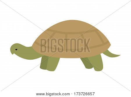 Turtle flat style vector. Wild animal with tortoiseshell. Fauna species. Slowness and wisdom symbol. For nature concept, children s books illustrating, printing materials. Isolated on white background