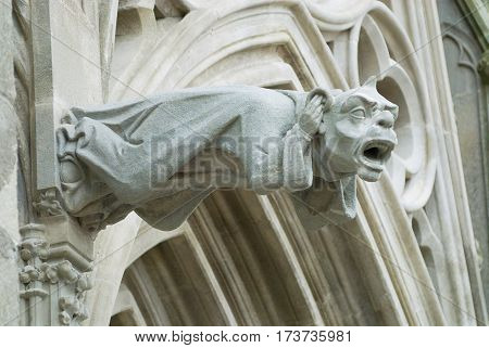 Gargoyle at the wall of the Basilique Saint-Nazaire-et-Saint-Celse in Carcassonne, France.