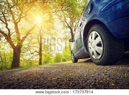 Car on asphalt road on spring day at park
