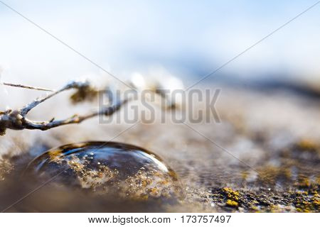 A rain droplet on a rock with a light blue background