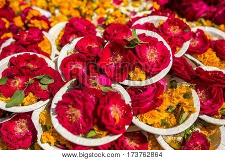 Puja flowers offering during Holi celebration in Vrindavan, India