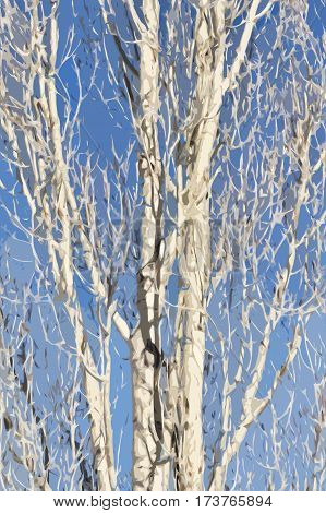 Poplar.Poplar tree. Abstract image of a poplar tree. Poplars against the blue sky. Abstract tree.  Artwork.