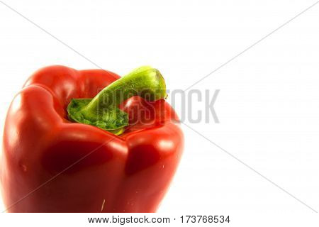 The red bell pepper on the white background