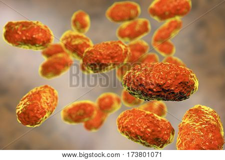 Bacteria Bordetella pertussis, 3D illustration. Gram-negative coccobacilli bacteria which cause children infection whooping cough