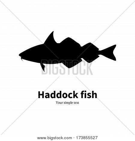 Vector illustration silhouette of haddock fish. Isolated on a white background.