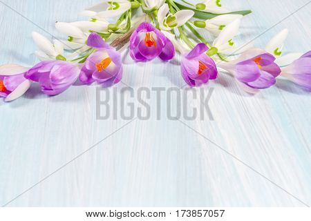 Frame of crocuses and snowdrops on the table with space for text. Top view, flat lay