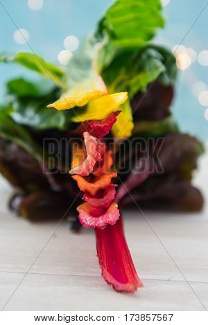 Fresh Cut Stems of Rainbow Chard Straight On