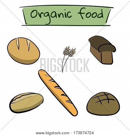Color hand-drawn food set with bread. Healthy food diet. Vector illustration
