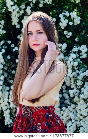 Beautiful Model Range Bush Of White Flowers