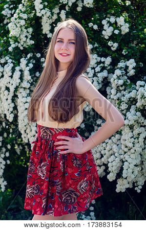 Beautiful Model Range Bush Of White Flowers