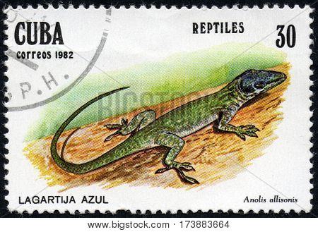 UKRAINE - CIRCA 2017: A stamp printed in Cuba shows Blue lizard Anolis allisonis the series Reptiles circa 1982