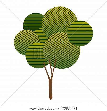 colorful high leafy tree plant with abstract lines and ramifications vector illustration