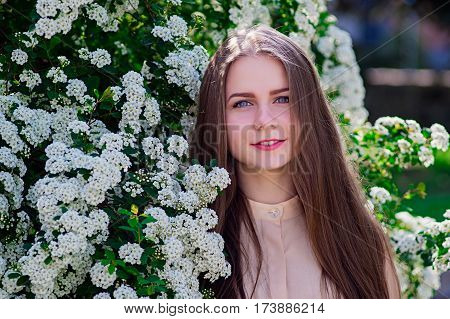 Beautiful Model Range Bush Of White Flowers