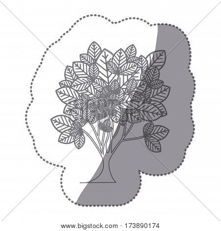 sticker gray color leafy tree plant with ramifications vector illustration