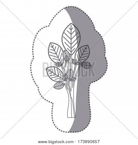 sticker gray color ramifications with oval leaves plant icon vector illustration