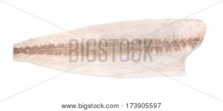 Fresh cobia fillet on a white background