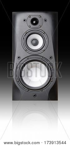 Triaxial speaker on black background.