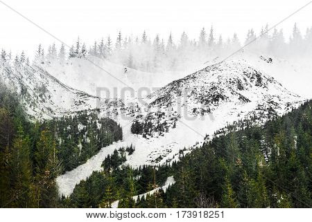 Natural Tatry snow capped mountains reflection in window. On the other side green forest on heel.