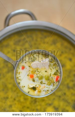 Chicken soup with vegetables and soup ladle