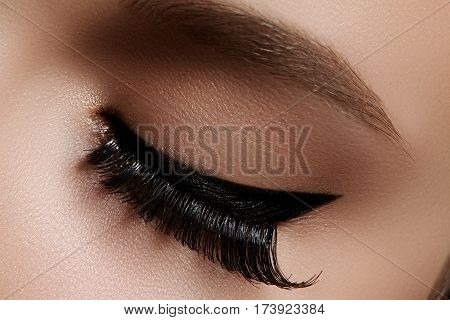 Beautiful Female Eye With Extreme Long Eyelashes, Black Liner Makeup. Perfect Make-up, Long Lashes.