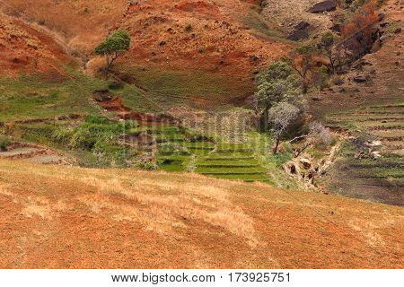 Road Through Madagascar Highland Countryside Landscape.