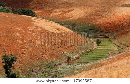 Road Through Madagascar Highland Countryside Landscape.