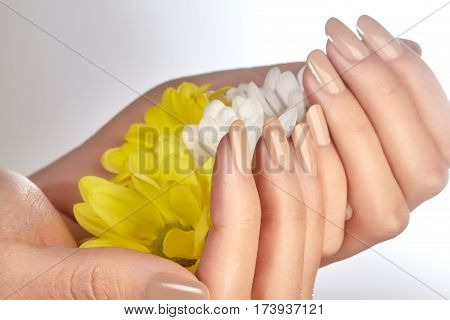 Manicured Nails With Natural Nail Polish. Manicure With Beige Nailpolish. Fashion Manicure. Shiny Ge