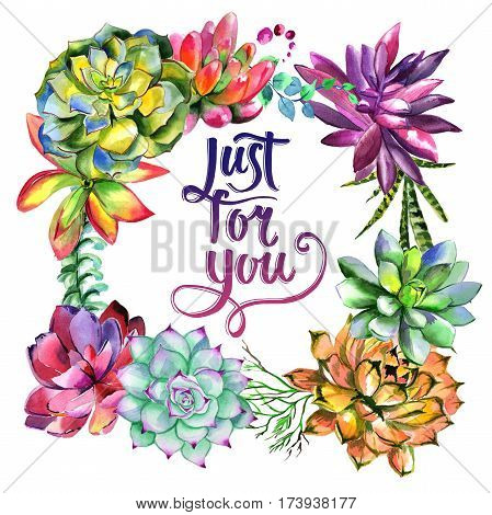 Wildflower succulentus flower frame in a watercolor style isolated. Full name of the plant: succulentus. Aquarelle wild flower for background, texture, wrapper pattern, frame or border.