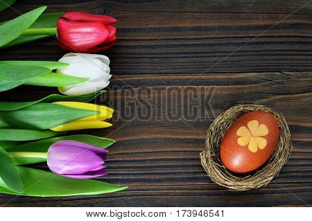 Easter egg in the nest and tulips on wooden background