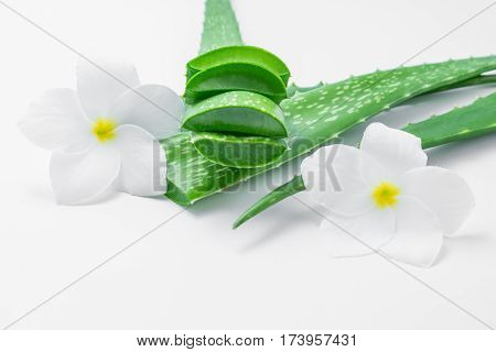 Fresh aloe vera slices with leaf and flowers on white background