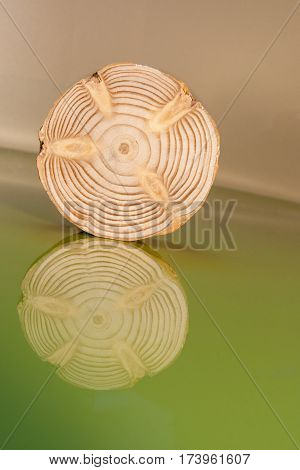 One pine saw cut and his reflection is tilted on green glossy surfase. It seems that it roll down.