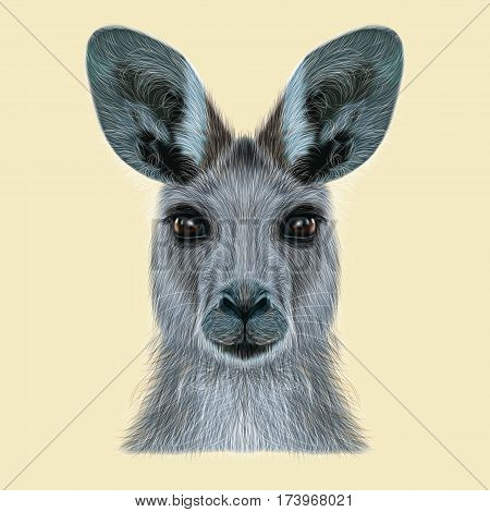 Illustrated portrait of Kangaroo. Cute head of wild Australian mammal on beige background.