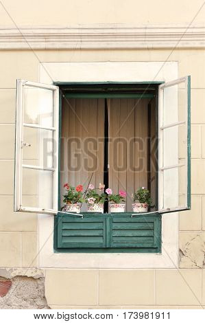 Opened old green wooden window with flowerpots