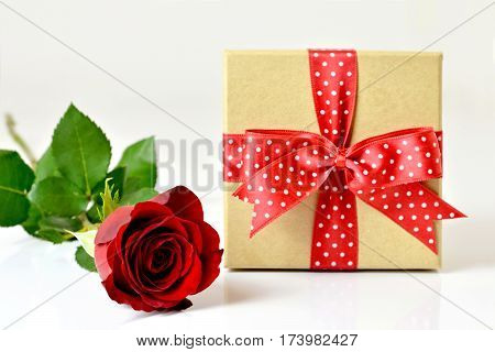 Gift box and red rose on light background