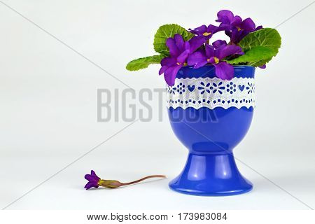 Easter flowers in egg-cup on light background