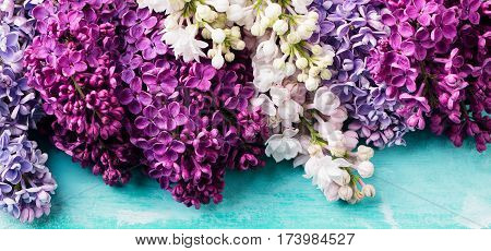 Bunch Of Lilac Flowers On A Turquoise Background. Top View. Copy Space