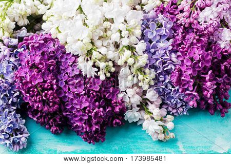 Bunch of lilac flowers on a turquoise background. Top view. Copy space.