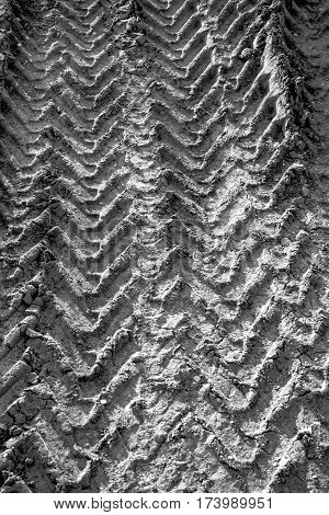 Black and white image of a wheel tracks on the earth closeup.