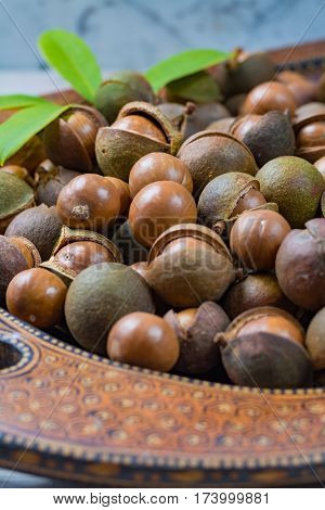 Macadamia nuts harvest close up with leaves
