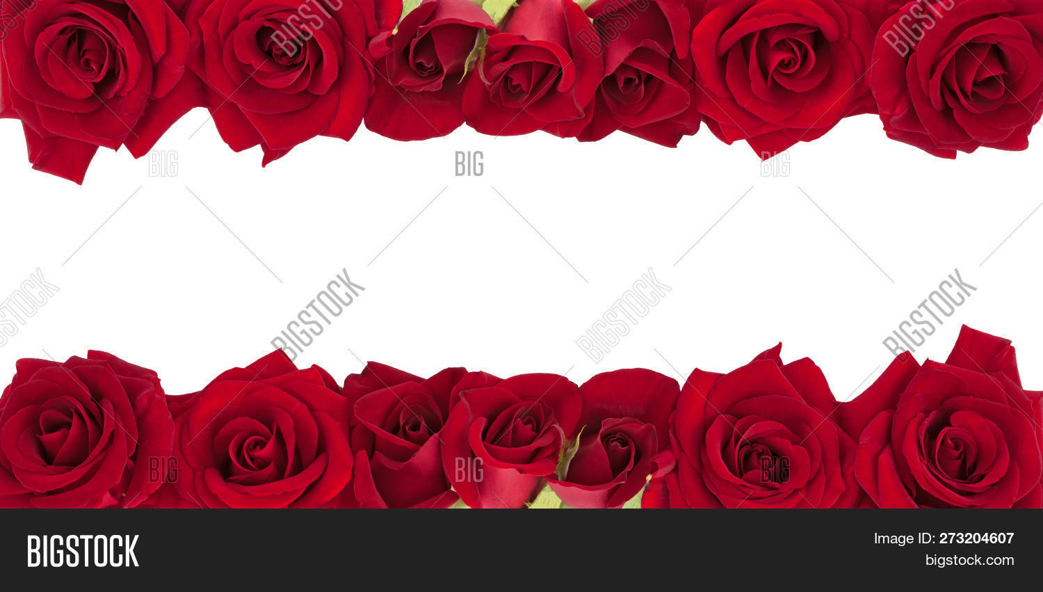 Panoramic Collection Image & Photo (Free Trial) | Bigstock