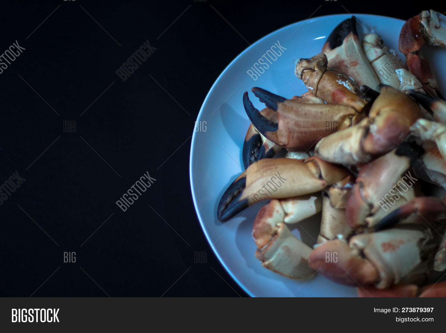 Crab Claws Atlantic Image & Photo (Free Trial) Bigstock