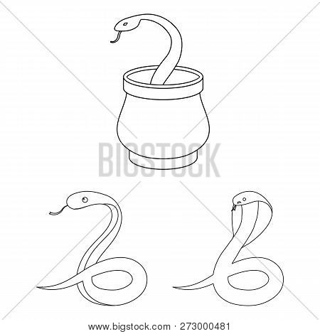 Vector Design Of Snake  And Cobra  Sign. Set Of Snake  And Tattoo Vector Icon For Stock.