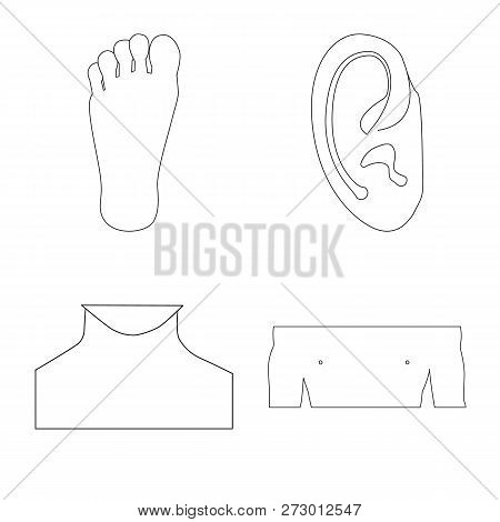 Isolated Object Of Human And Part Sign. Set Of Human And Woman Stock Symbol For Web.