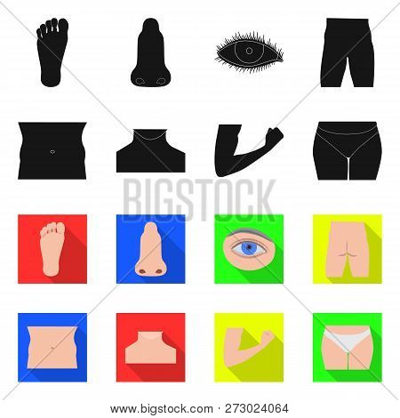 Vector Design Of Human And Part Icon. Set Of Human And Woman Stock Vector Illustration.