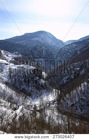 Under The Snow In A Winter Day