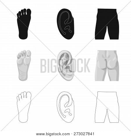Vector Illustration Of Human And Part Symbol. Set Of Human And Woman Stock Vector Illustration.