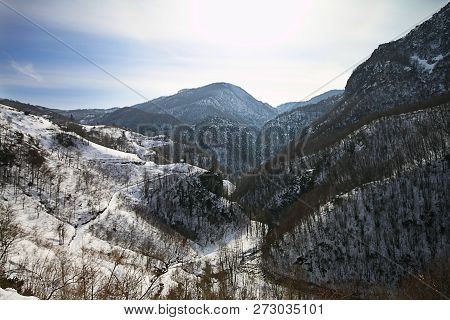 Under The Snow In A Winter Day