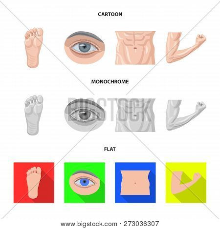 Vector Illustration Of Human And Part Sign. Set Of Human And Woman Vector Icon For Stock.